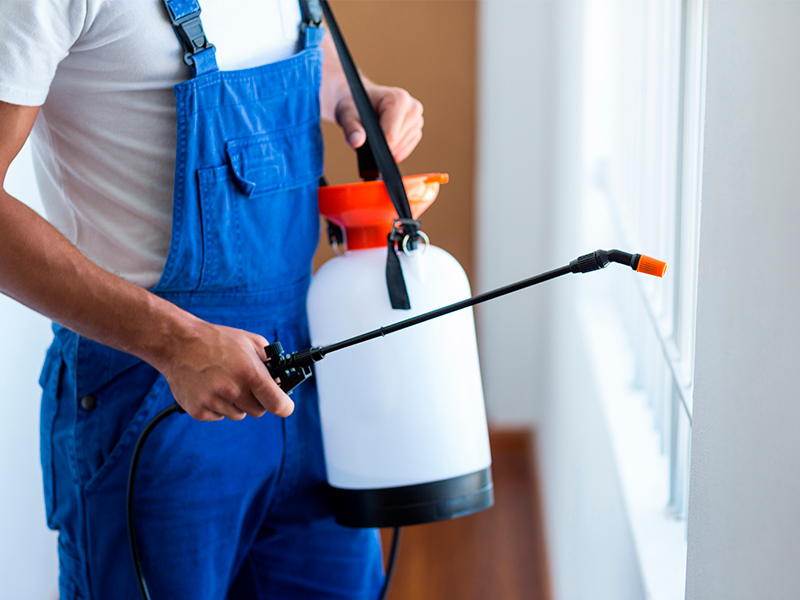 man-inspectioning-and-spraying-pest-inspeciton-belle-chasse-la.jpg